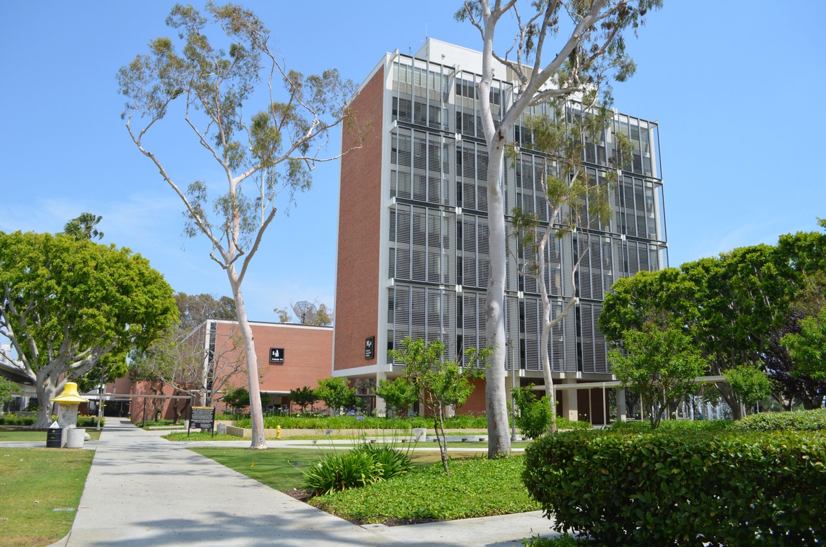 California State University
