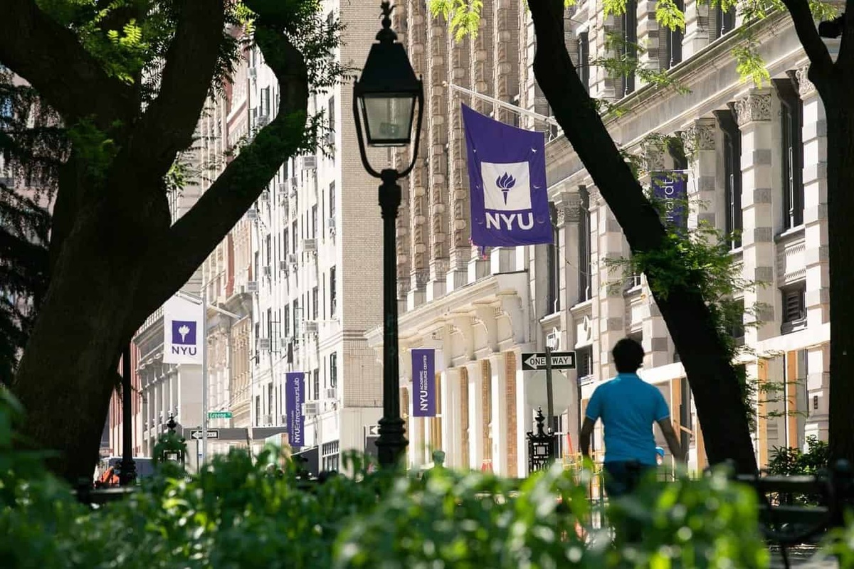 New York University
