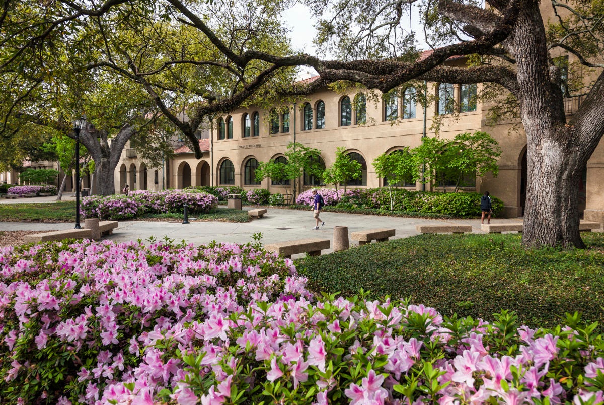 Louisiana State University - Gallery