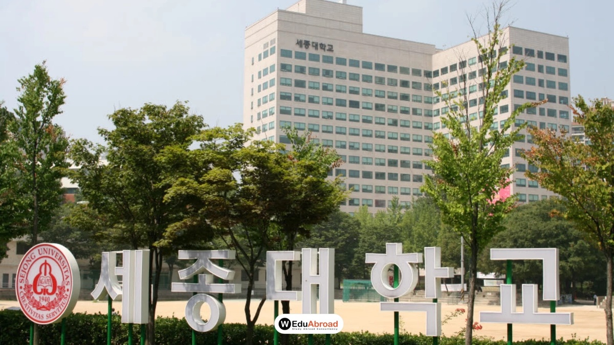 Sejong University — photo 5