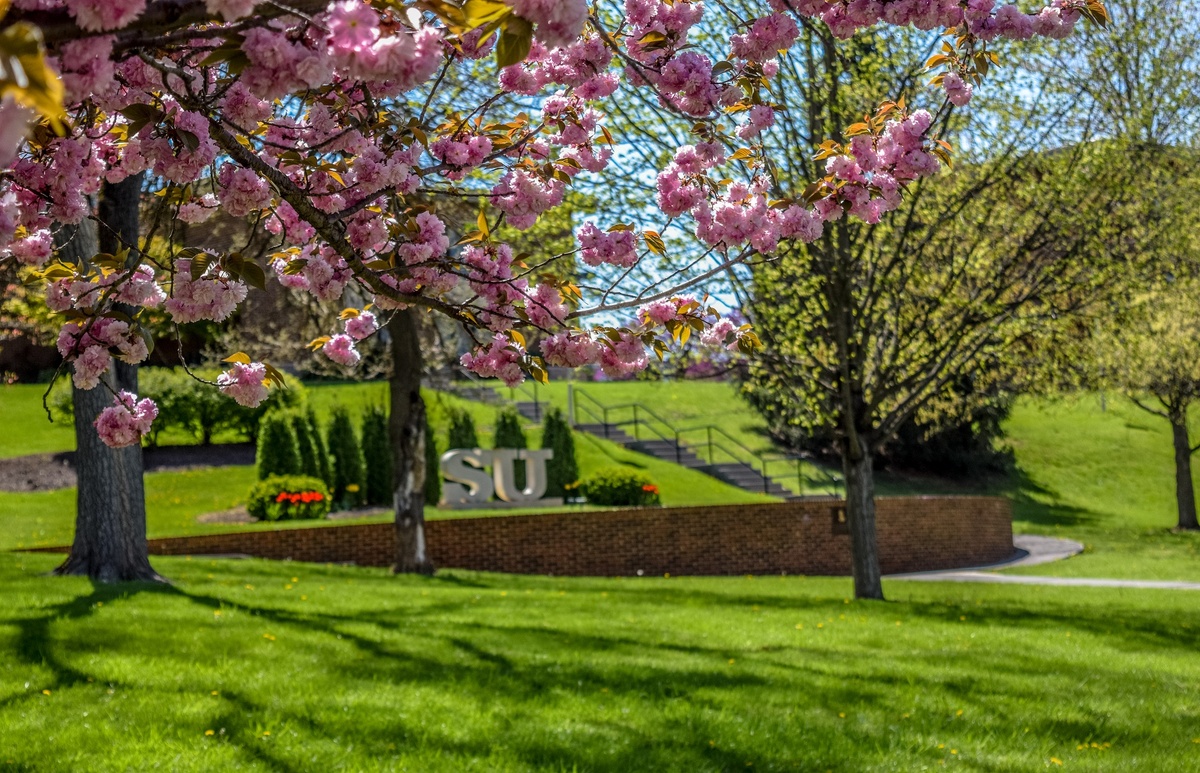 Shenandoah University - Gallery