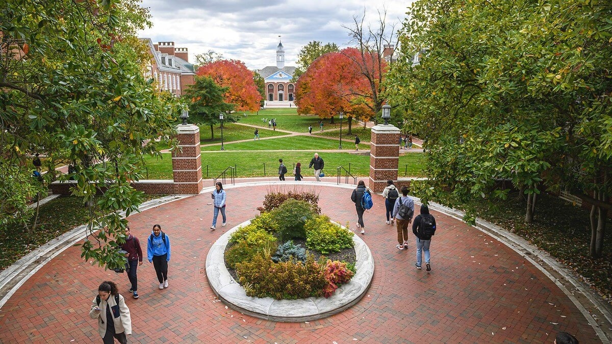Johns Hopkins University - Gallery