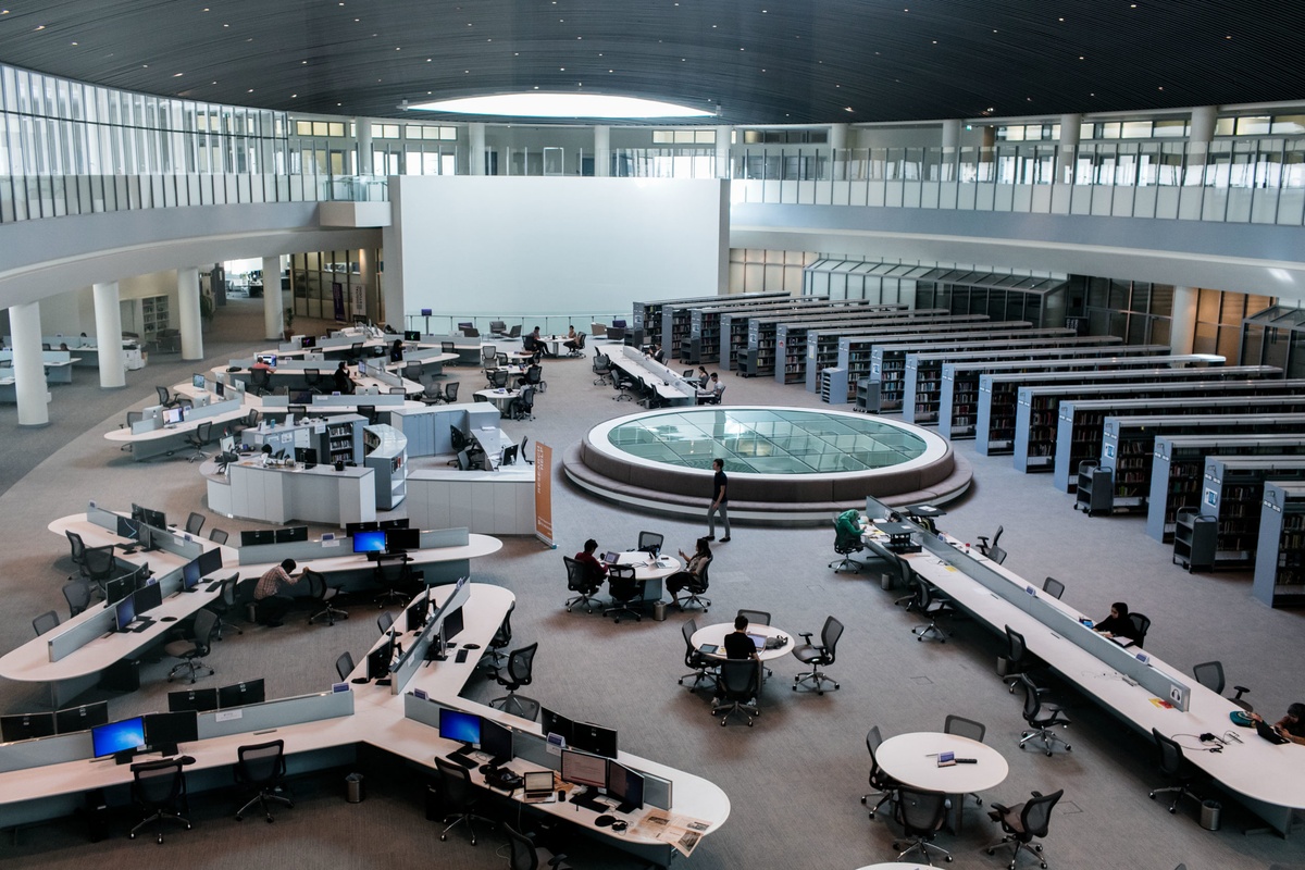 New York University Abu Dhabi — photo 6