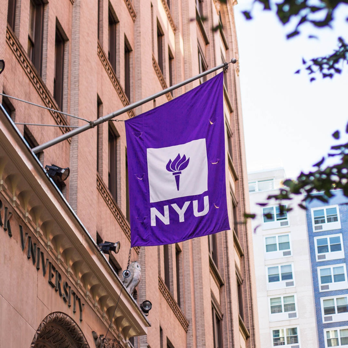 New York University - Gallery