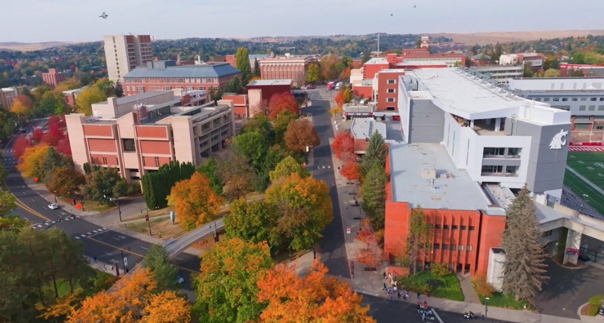 Washington State University - Gallery