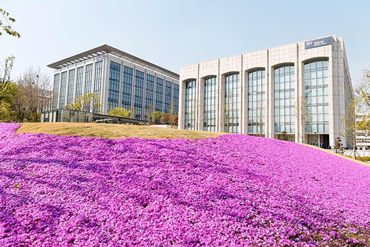 Yonsei University - Gallery
