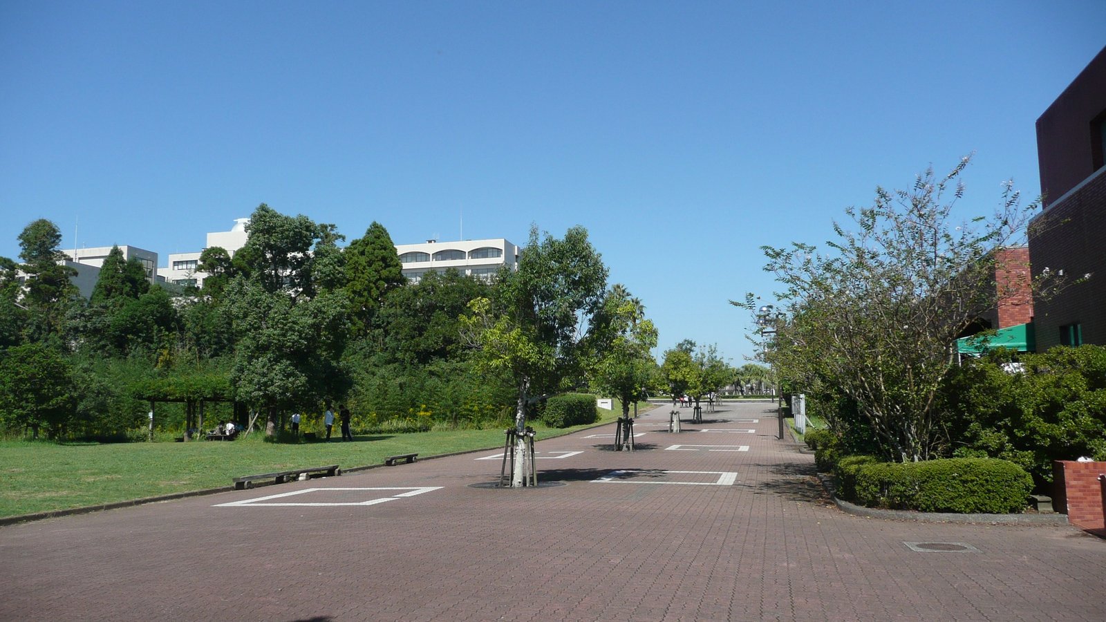University of Miyazaki — photo 2