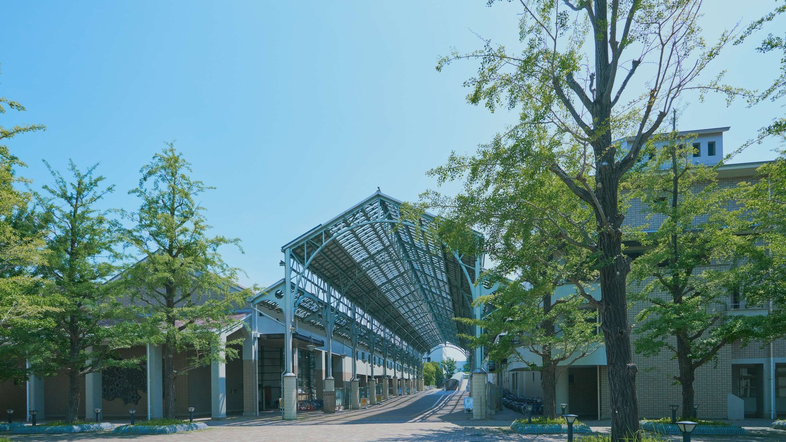 Tokyo Metropolitan University — photo 1