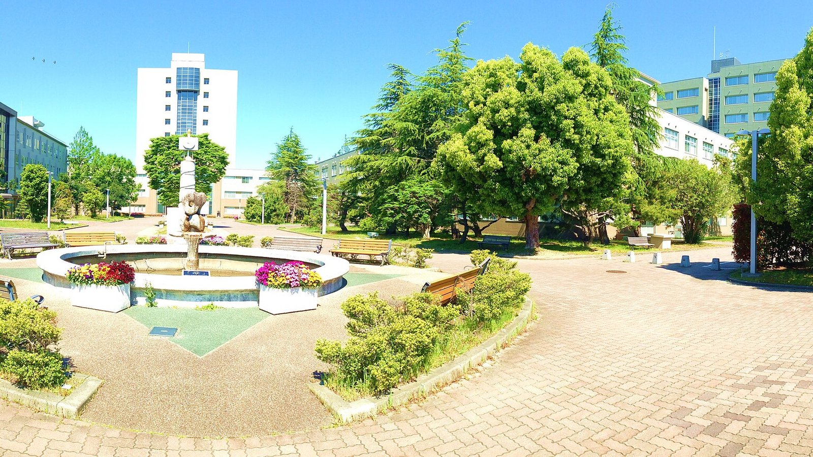 Shizuoka University — photo 1