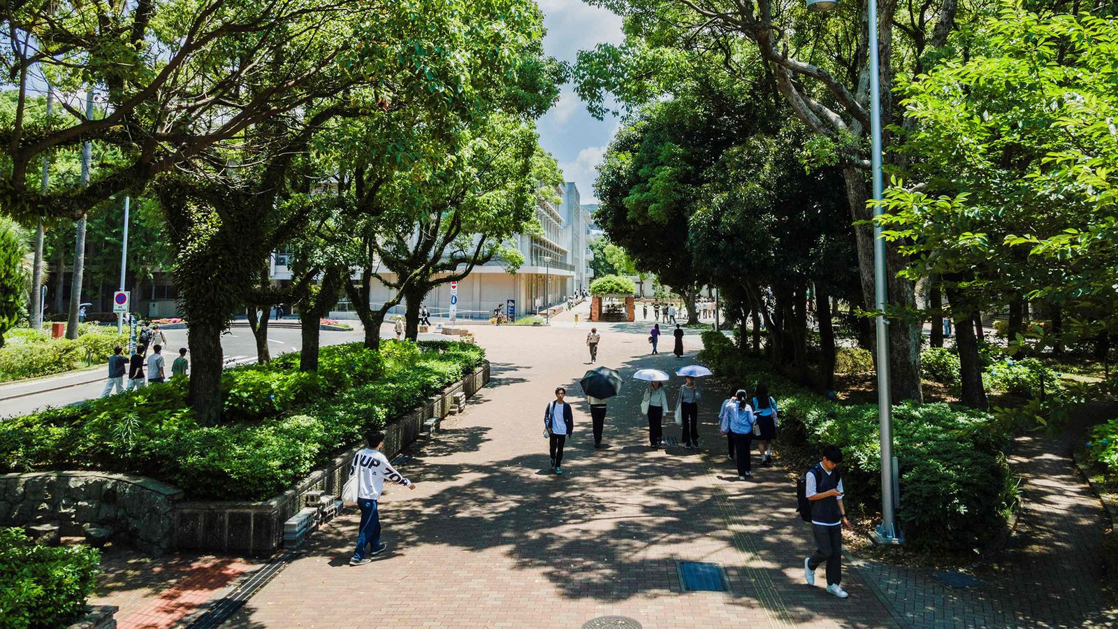 Nagasaki University — photo 1