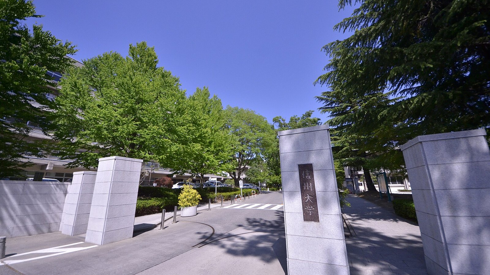 Shinshu University