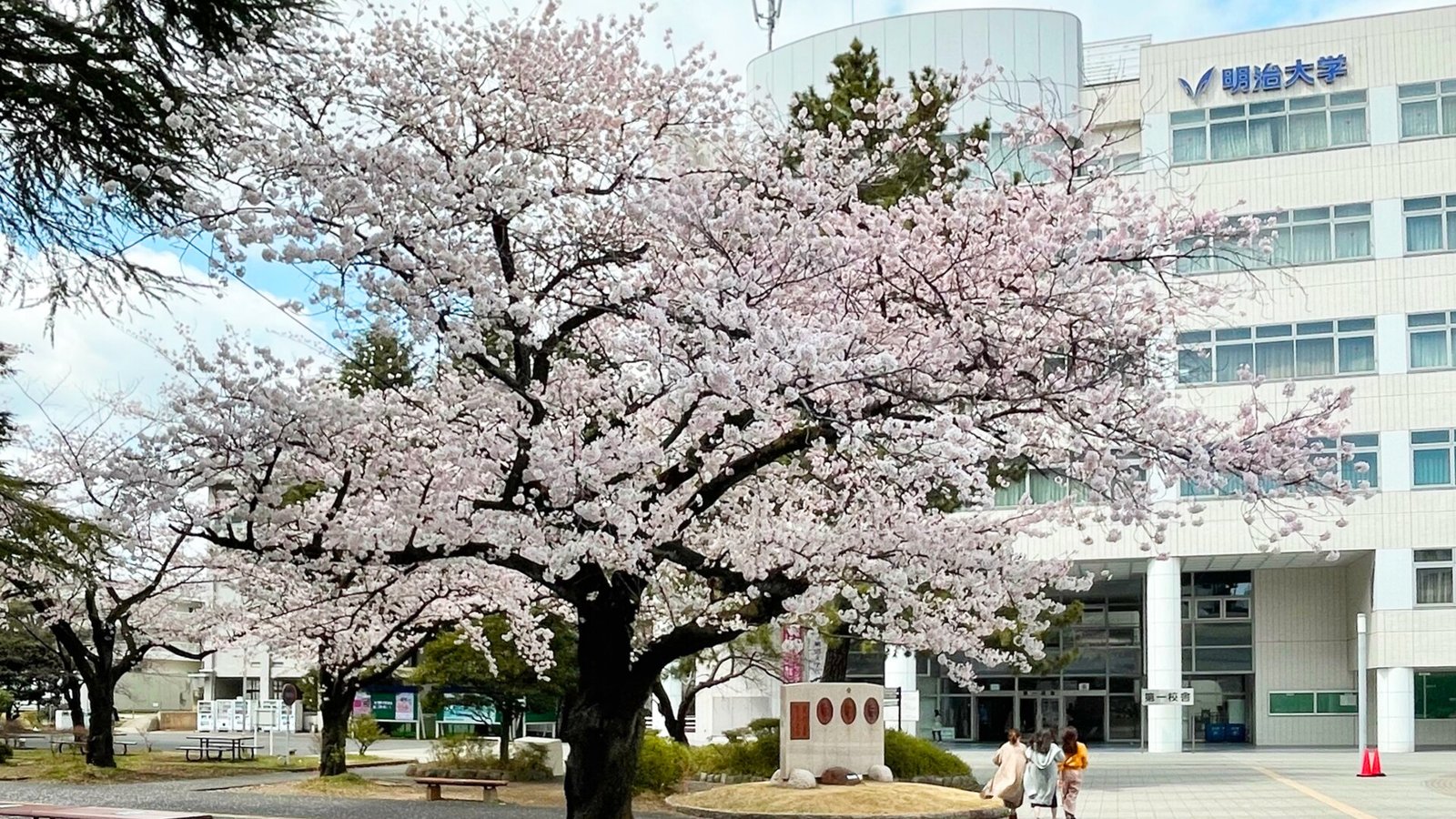 Meiji University — photo 3