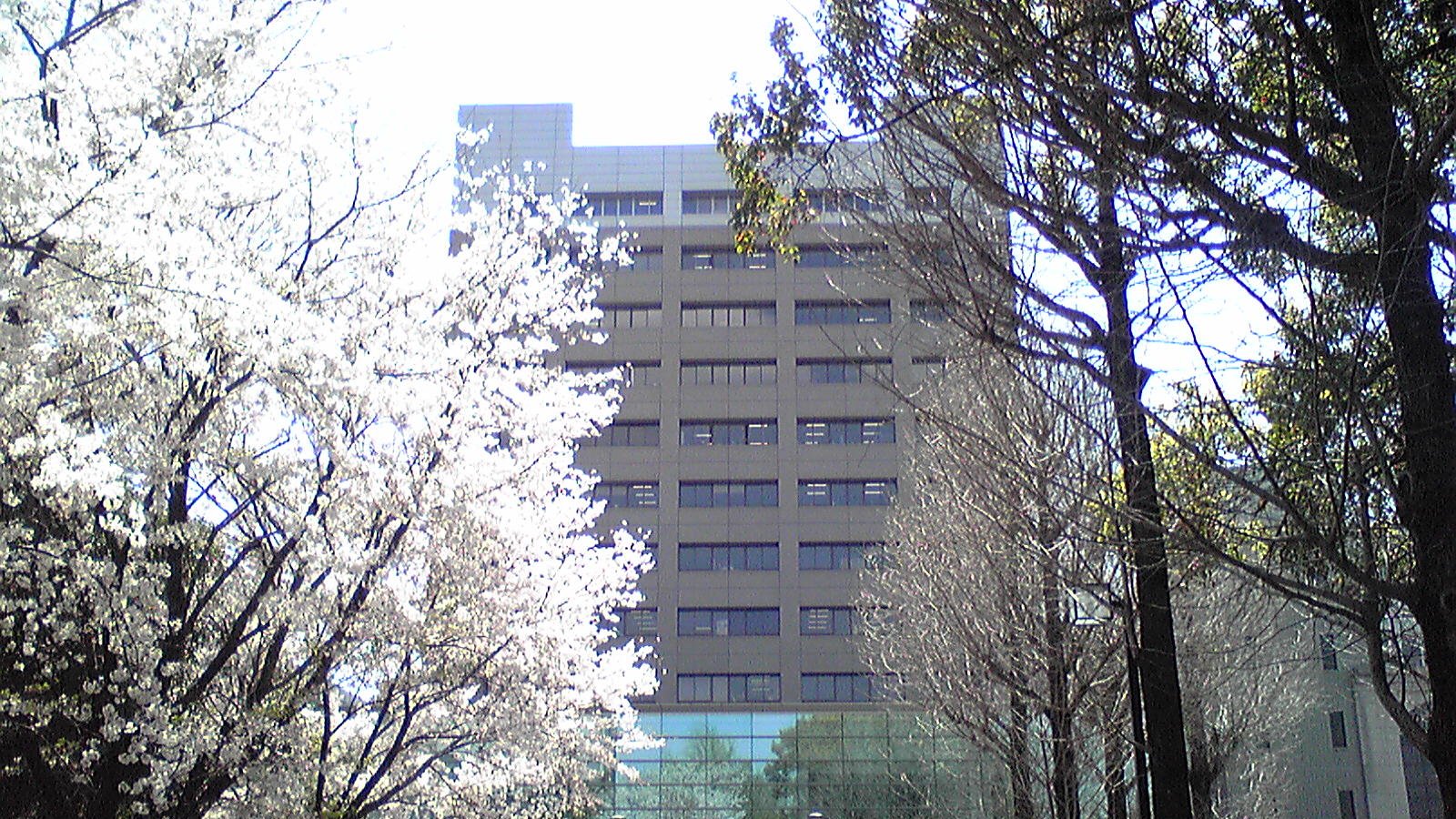 Kumamoto University — photo 3