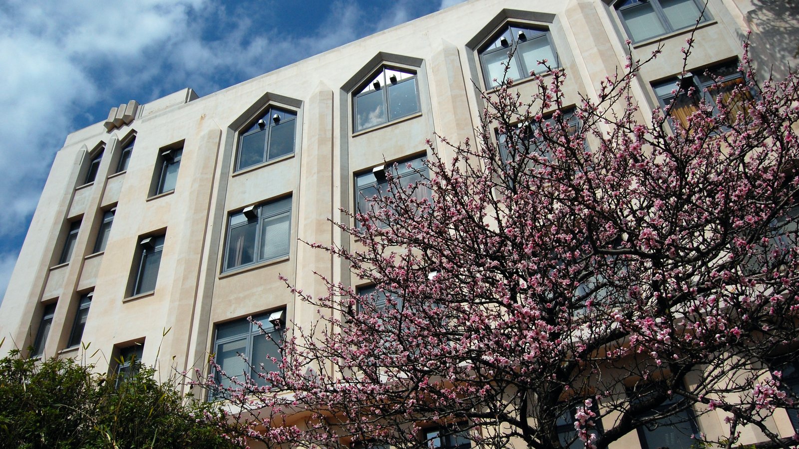 The University of Osaka