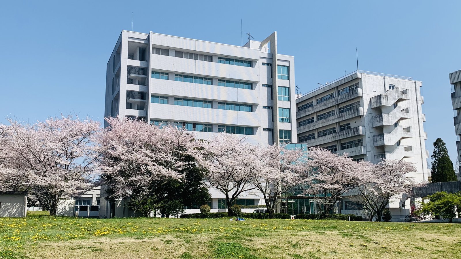 Gifu University