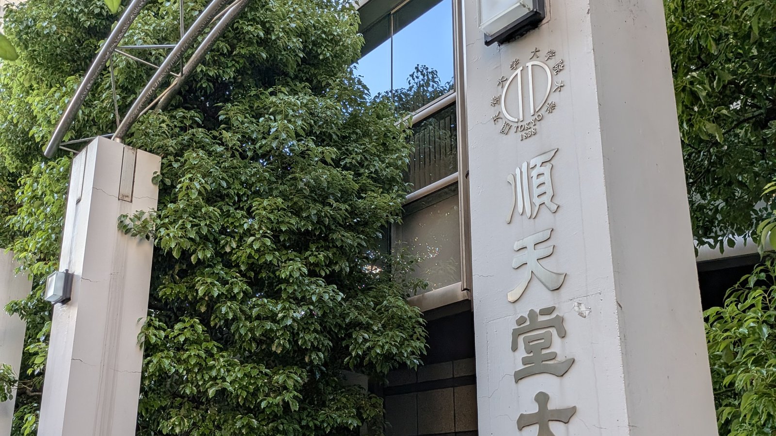 Juntendo University — photo 3