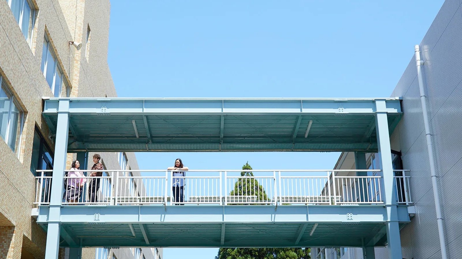 Miyazaki International University — photo 3