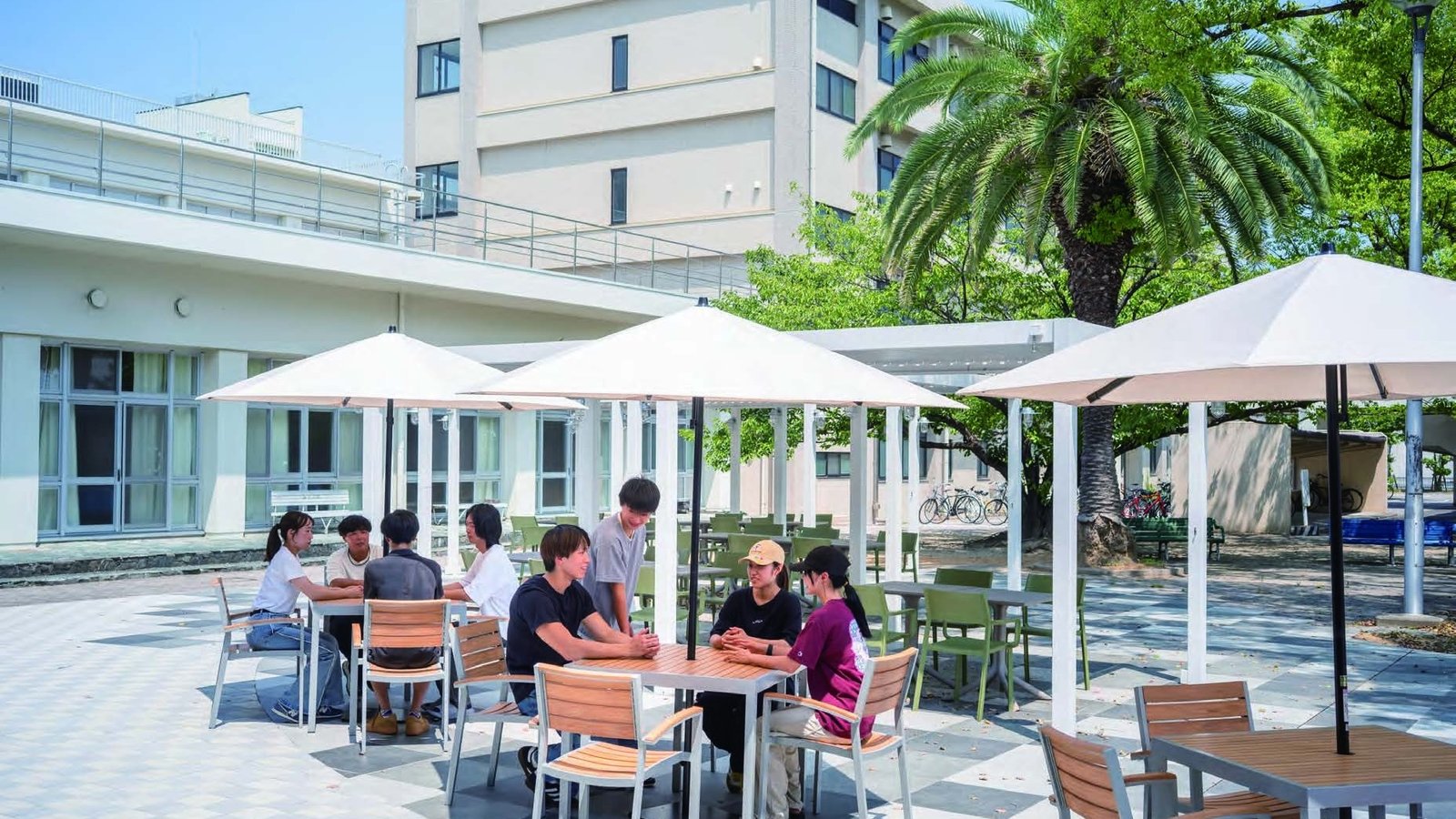 Tokushima University — photo 3