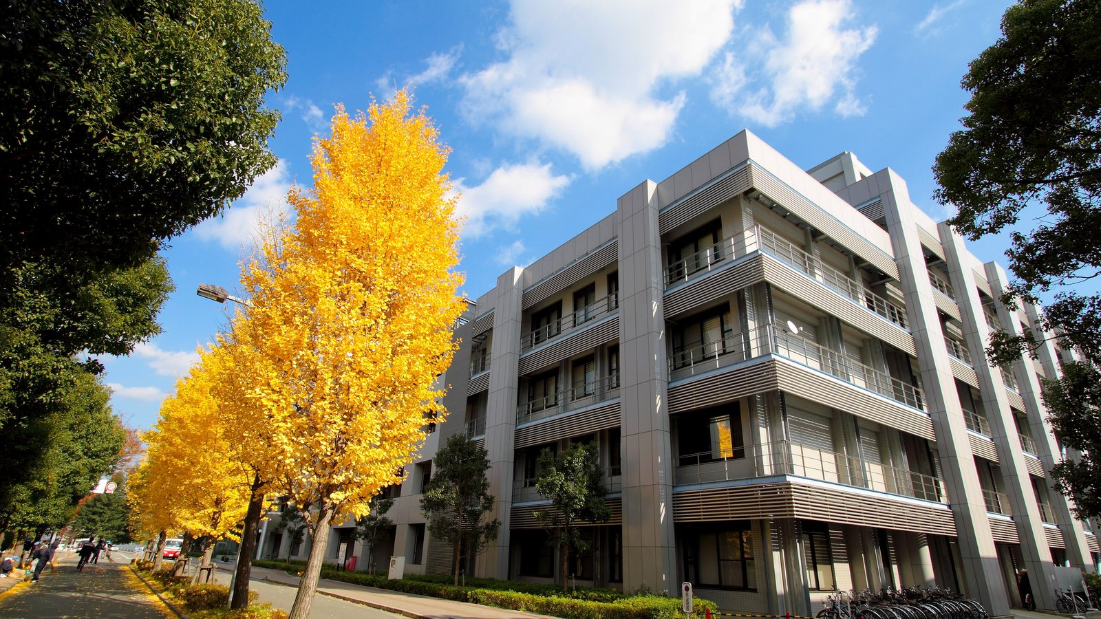 Toyonaka Campus
